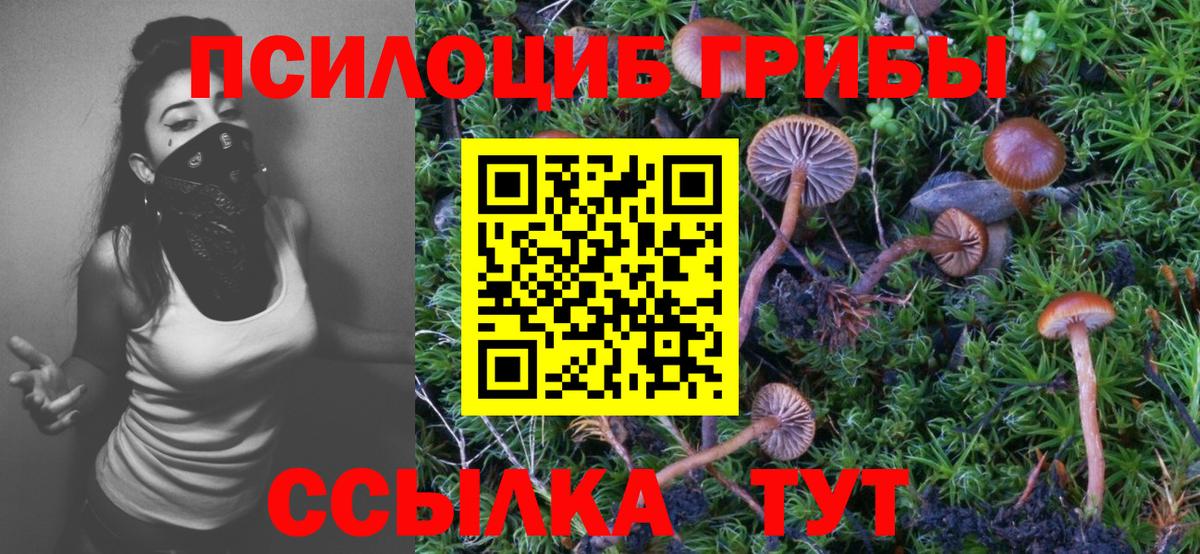 Псилоцибиновые грибы мицелий  Вход с VPN  Кисловодск 